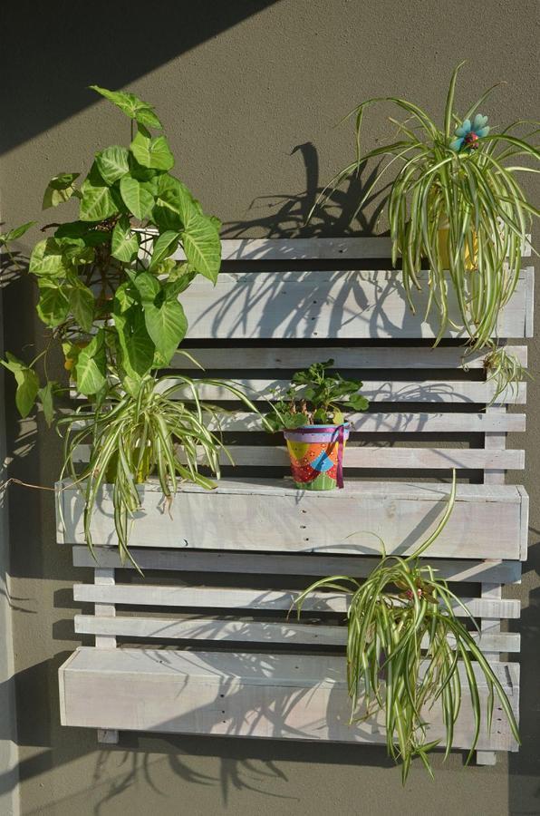 Monoambiente La Pitota Apartment Parana Ngoại thất bức ảnh